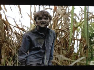 Enter Walkers of the Corn!