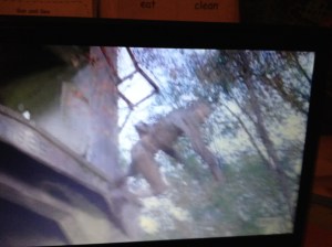 In its undead zeal to chomp the living, the Tower Walker pitches right over the railing, becoming Look Out, Below! Walker...and hits the dirt in a gorish heap of rot and bone.