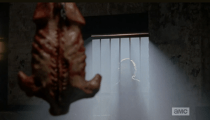 carcasses