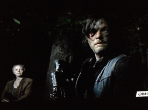 As Daryl listens, the woods settle down to silence once more. 