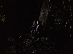 ...as we see a dark figure creep away into the darkness, from where they had been crouched, hidden, watching Daryl and Carol.