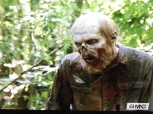 ..looking for his girlfriend, Hey, Where's the Party? Walker...seems like they got split up at the last rager in the woods, a night or two back...