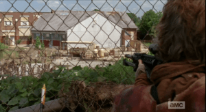 new carol aims