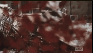 ...sending the walker woman's blood all over the concrete...and the lens.