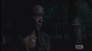 sasha looks for bob