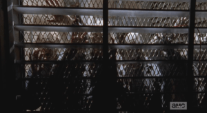 welcome to the ground floor of grady memorial