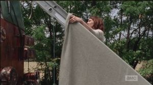 Using the ladder and a blanket from the fire truck, Maggie thoughtfully shieldsEugene, and his mullet, from the hot sun...nobody wants the mullet to get a sunburn!
