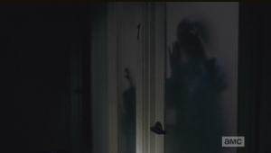 ...and see a heartbreaking sight...in one of the temporary housing units, a mother and child, both now walkers, bang and paw at the glass...Walkers Interruptus.