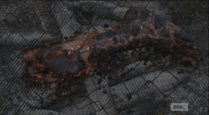 Bob's charred leg, on the Terminans' makeshift grille, with maggots crawling over it.