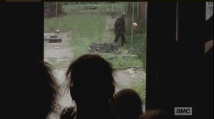 ...and as they continue to bang against the glass, we see the window starting to crack...