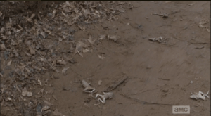 creek dry frogs