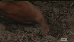 daryl digs
