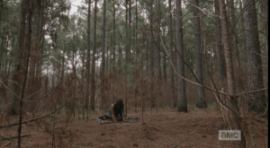 daryl worm picnic