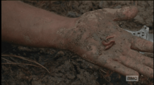 daryls worm