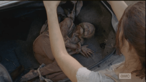 maggie finds kidnapped walker