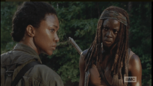Michonne knows too well what is going on, here.