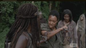 michonne grabs sasha's arm