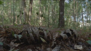 skeleton in ground 1