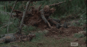 walkers in the tree