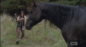 Daryl begins to approach Buttons cautiously, talking softly to the horse.