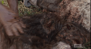 Daryl grabs another walkers and smashes its head into the other smashed walker.