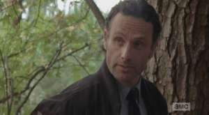 Rick turns to Carol and Daryl, says that they should keep their doubts, suspicions, plans about Alexandria to themselves, that they want the others in their group