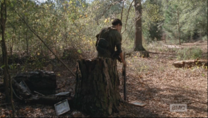 After all the pictures are gone, Sasha walks over to a large tree stump, sets her rifle beside her, and waits...