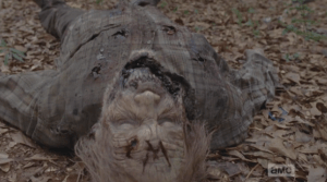 Seeing this marked type of walker twice now, first 100 miles back, at the scene of a community cruelly ravaged and destroyed by an unknown foe, and now, here, suggests that big, bad trouble is coming for Alexandria. I feel Rick knows this, on some level, and will keep it to himself, for now...but he will be thinking, and watching, and planning.