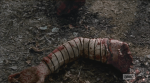 A girl's arm, severed clean through the sleeve of a striped shirt...where are the heads? Where are the torsos?