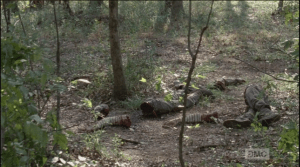 Disembodied arms and legs lay scattered about...it looks like they were severed cleanly, like the arms and torsos Rick, Michonne, and Glenn Who did this, and how...and, why?