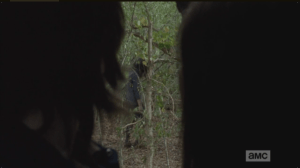 From inside the tree, Carl and Enid watch the group of walkers pass...