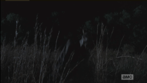 ...a lone walker in a field goes down after a single arrow spears its skull.