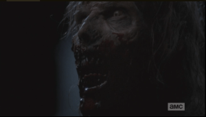 We see the walker's face just before a single bullet from Sasha's gun blows its head to bits.