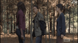 Sasha glares at Michonne.