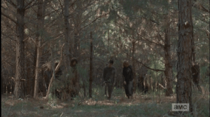 Ahead, in a clearing, a sizable group of walkers approaches...