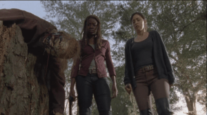 Michonne and Rosita stare down at the dead walkers. It definitely looks like Sasha's handiwork. 