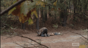 ...towards the walker feasting on some poor doomed somebody in the road.