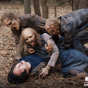Aye, aye, aye! Watching this finale episode, my WD buddy and I were super freaked at this scene, and then the shot faded out to commercial. I turned to my WD buddy and said,