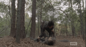 ...and manages to stomp the inside of one of Nicholas's legs, hard, most likely breaking the bone. Nicholas gets the advantage once again, ending up on top of Glenn, punching him again and again, jabbing poor Glenn's wound. Glenn screams out in pain.