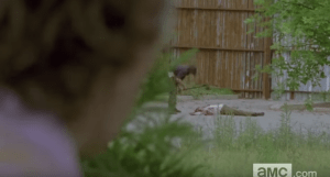 And, who the fuck...? What the shit is happening, here??