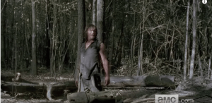 What the hell is going on with Daryl, and why is he alone?