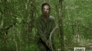 nicholas in woods