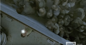 ...and fire a single shot in the air, as we see a throng of many, many walkers pressing up against the walls of Alexandria.