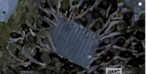 Walkers swarm around a metal dumpster, or container box...presumably someone has taken cover in there.