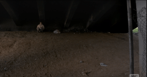 nick out underpass
