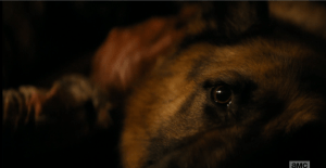 I just totally had to do a wine shot for this poor baby...we never even got to know his name, did we?