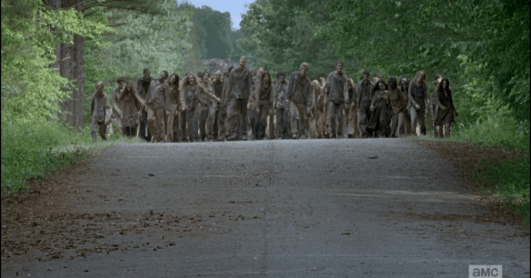 Here comes the Parade of Walkers.