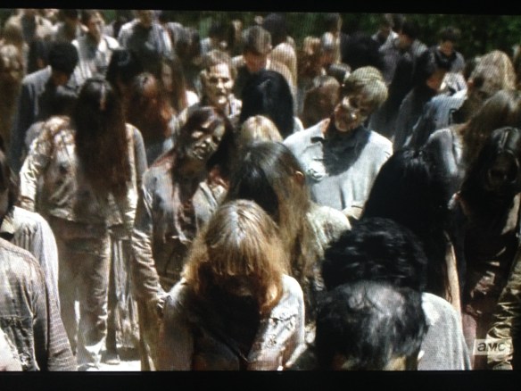 The scene shifts back to the present, with the grisly walker parade shuffling down the road, led by Daryl, Sasha, and Abraham.