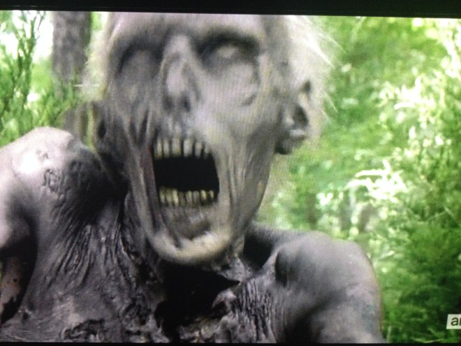 I was def obsessed with this tree walker, couldn't stop taking pictures of him...so scary!