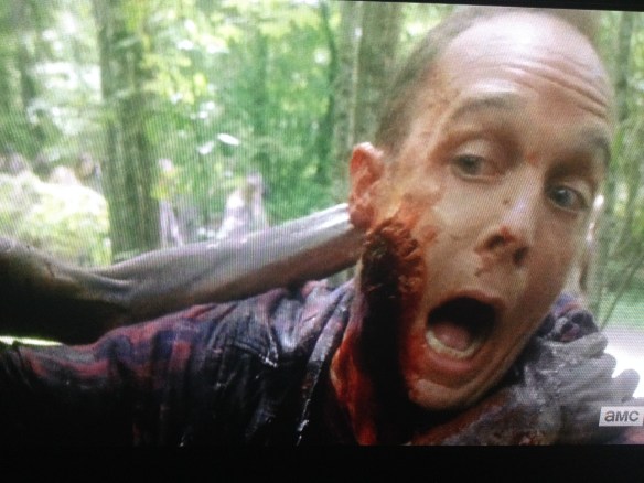 Ethan Embry did such a great job as Carter, who was a major tool, and a whiner, but who started coming around, and then got face-chomped just as he was getting cool. I award Ethan Embry, the TWD fan who finally landed a role on TWD, with a very special Deadie: The Red Shirt Guy Deadie, for being so fun, and such a good sport. Kudos, bud. You're awesome!